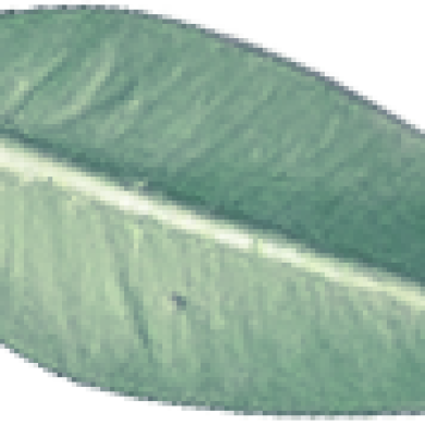 home-slider-content-img-3.png
