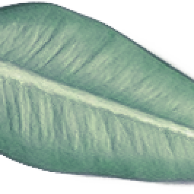home-slider-content-img-4.png