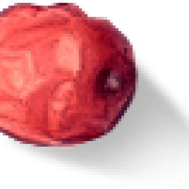 home-slider-img-2.png